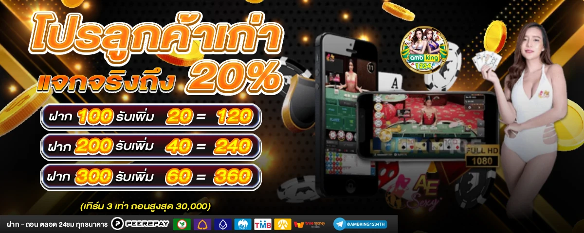 เว็บสล็อตที่รับ true wallet - แบนเนอร์โปรโมชั่น